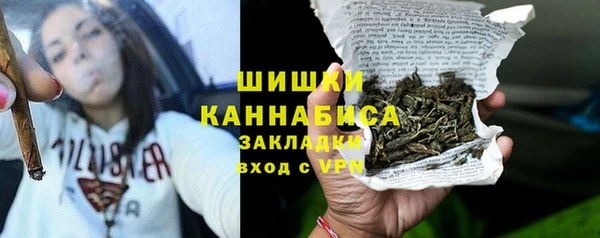 сатива Горняк