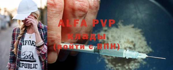сатива Горняк