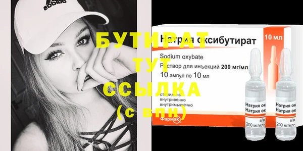 сатива Горняк