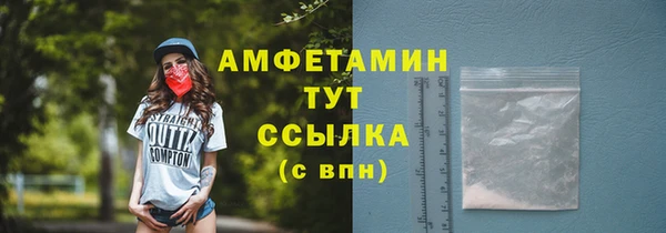 сатива Горняк
