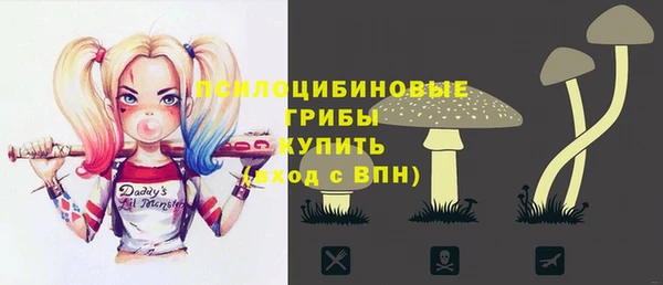 дживик Горнозаводск