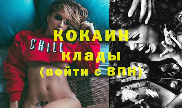сатива Горняк