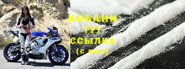 дживик Горнозаводск