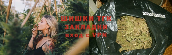сатива Горняк