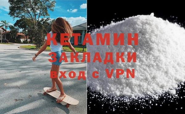сатива Горняк