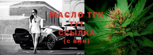 сатива Горняк
