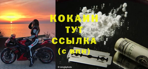 сатива Горняк