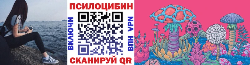 Галлюциногенные грибы мицелий  ссылка на мегу ONION  Новохопёрск  продажа наркотиков 